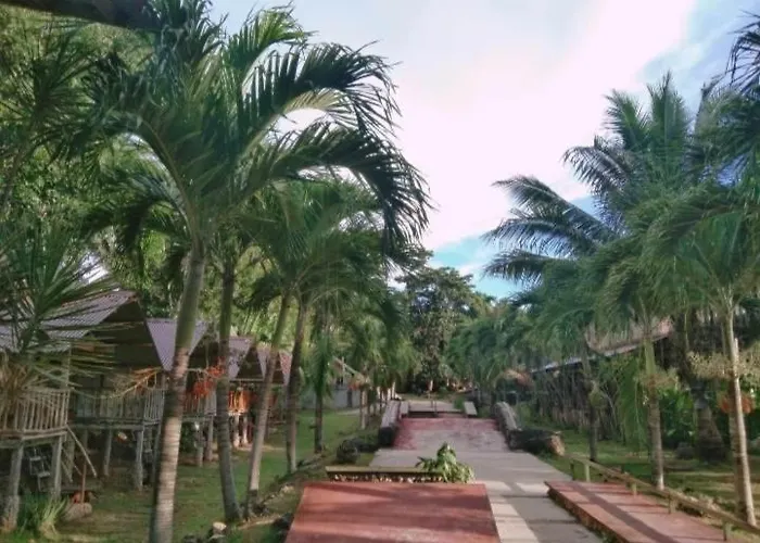 Palaboy Skatecamp - Resto And Daanbantayan